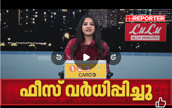 Reporter TV news video